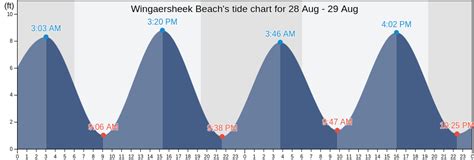 Wingaersheek Tide Chart