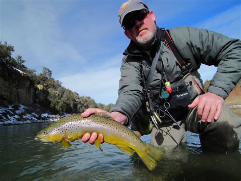Winter Fishing for Trout