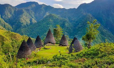 Wisata Desa