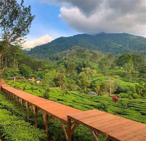 Wisata Puncak Bogor