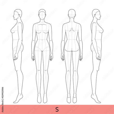 Women Body Template