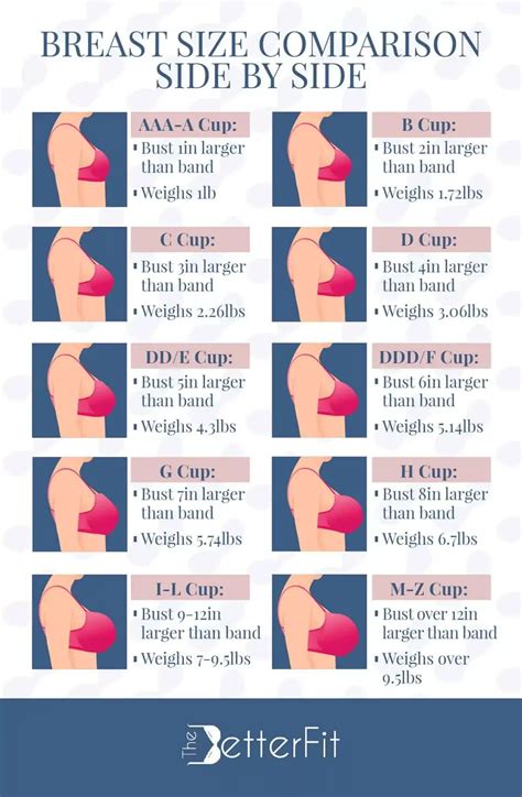 Women Breast Size Chart
