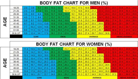 Womens Body Fat Percentage Chart