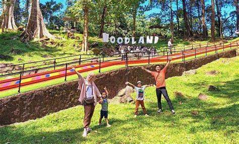 Woodland Kuningan