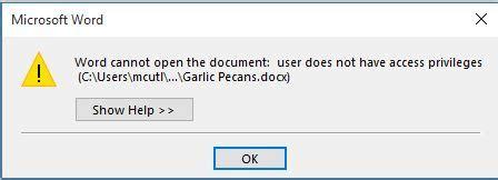 Word Cannot Open This Document Template