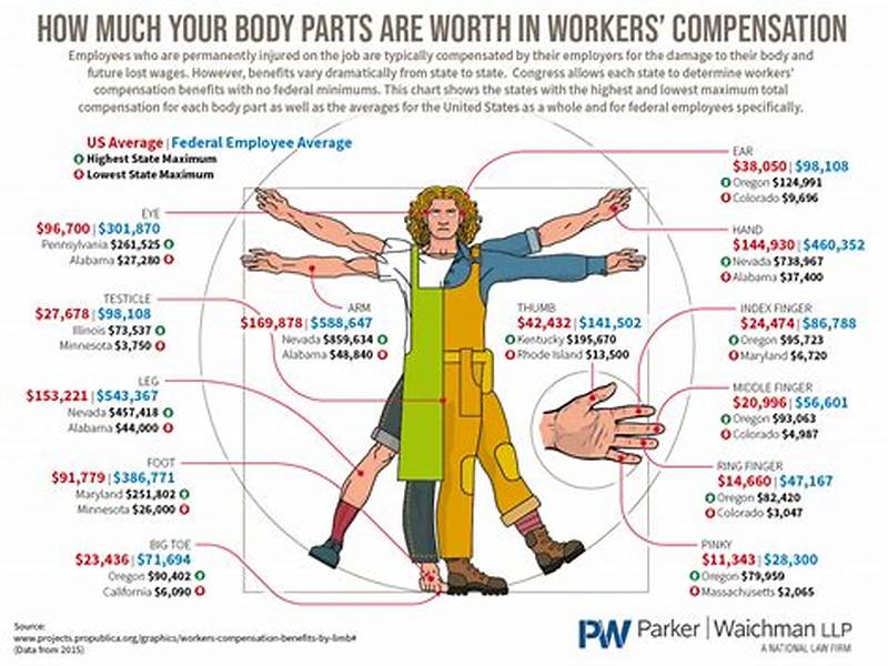 Workers  Compensation Body Part Value Chart