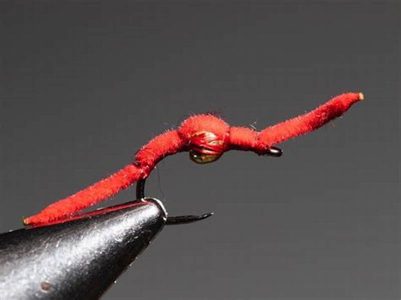 Worm Pattern Fly