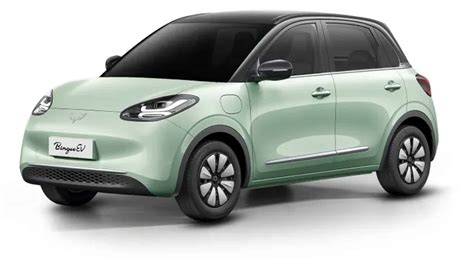 Wuling Binguo EV