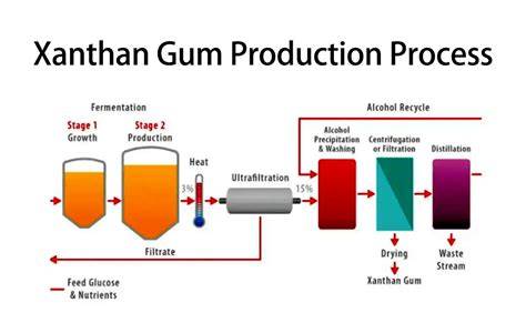 Xanthan Gum Conclusion