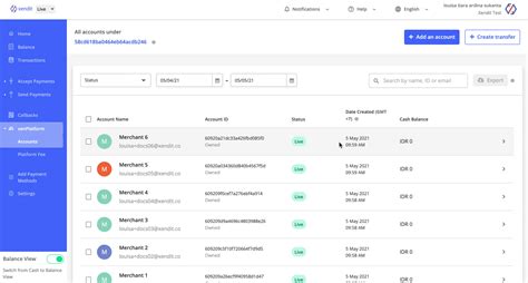 Xendit dashboard interface