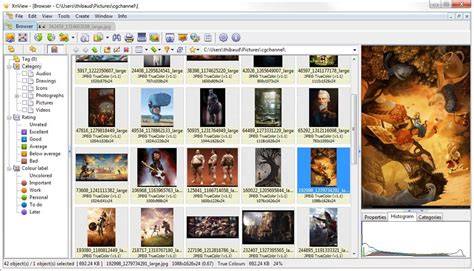 XnView Interface