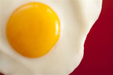 Yolk