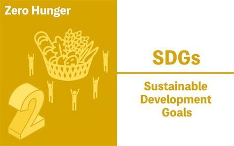 Zero Hunger SDGs