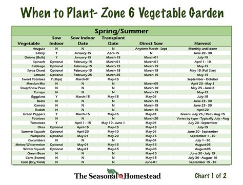 Zone 6 Planting Chart