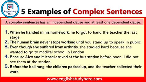 a complex sentence examples with answers