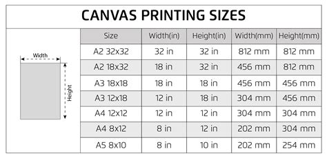 a3 canvas size