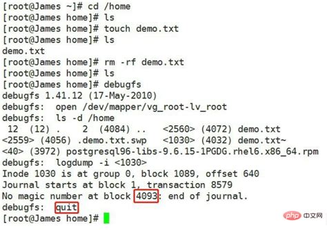 accidentally deleted root directory linux