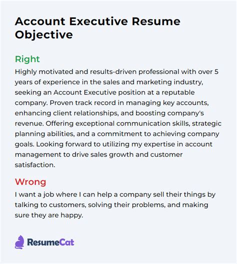 account executive resume objective examples