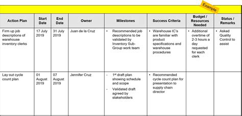 action plan matrix example