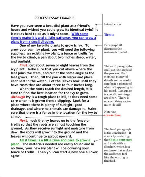 action writing examples