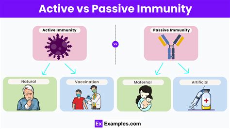 active and passive immunity explained