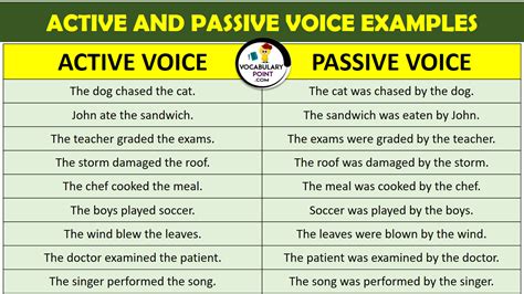 active and passive voice examples questions