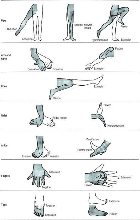 active exercise and passive exercise examples