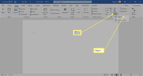 add pdf document in word