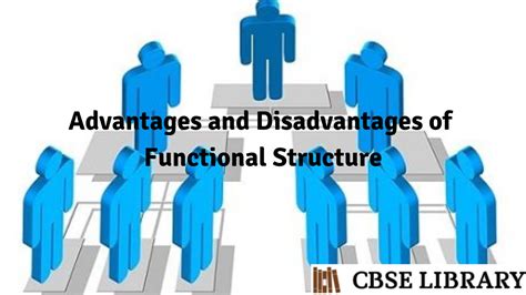 advantages and disadvantages of functional structure class 12