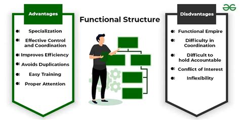 advantages of functional structure class 12 notes