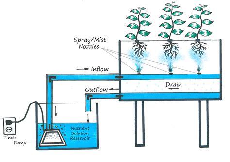 aeroponic system maintenance