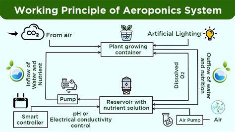 aeroponic system working principle