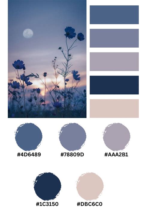 aesthetic navy blue hex code