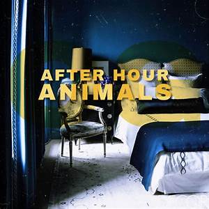 After Hour Animals