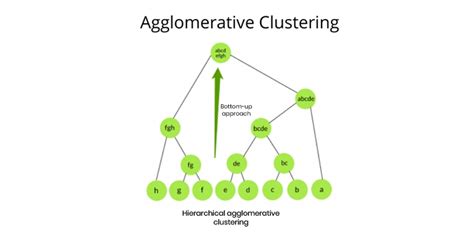 agglomerative clustering in machine learning with example