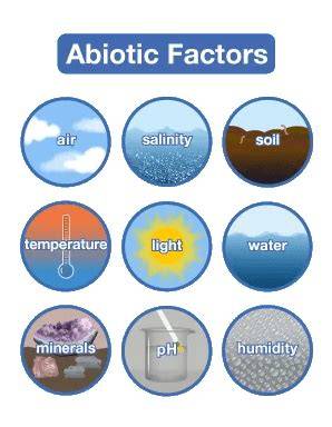 air abiotic factor
