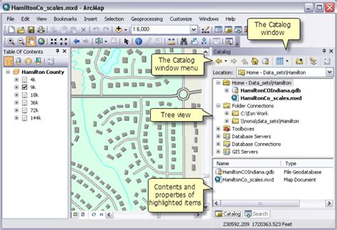 Ake Catalog Window Tab Desktop Arcgis