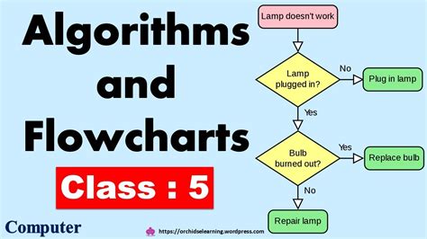 algorithm and flowchart questions and answers pdf class 5 icse