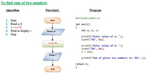 algorithm in c programming examples