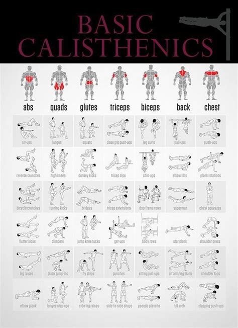 all calisthenics exercises list