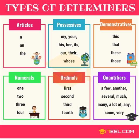 all types of determiners with examples