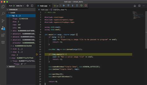 alternative of vs code for c++