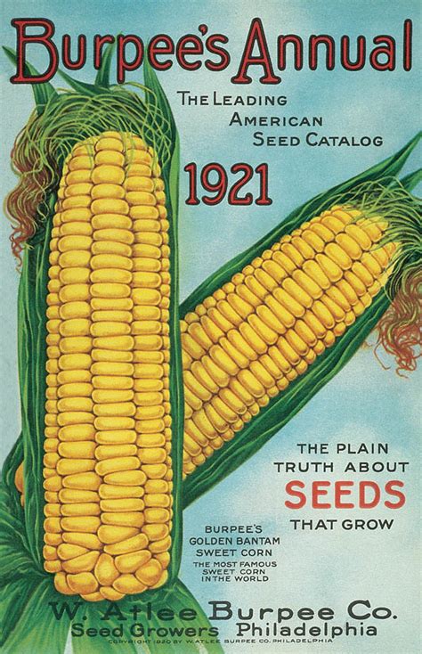 American Seed Catalog
