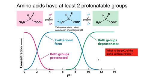 amino acid buffering