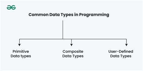 an important data type in computer programming consists of