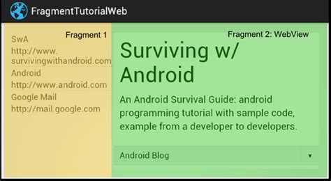 android webview fragment example