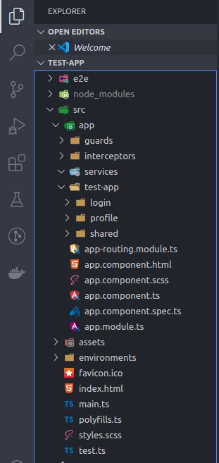 angular app file structure