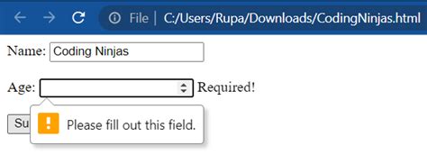 angular js form validation