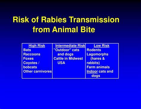animal bite transmission