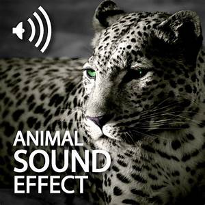 Animal Sound Effects Group